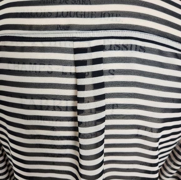 Vintage Sheer Striped Blouse - Picture 11 of 14